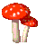 spinny mushroom